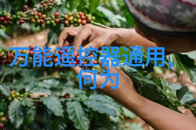 固定流化床反应器化学工程中的关键技术与应用概述