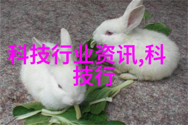 数字时代的黑白艺术老照片新解读