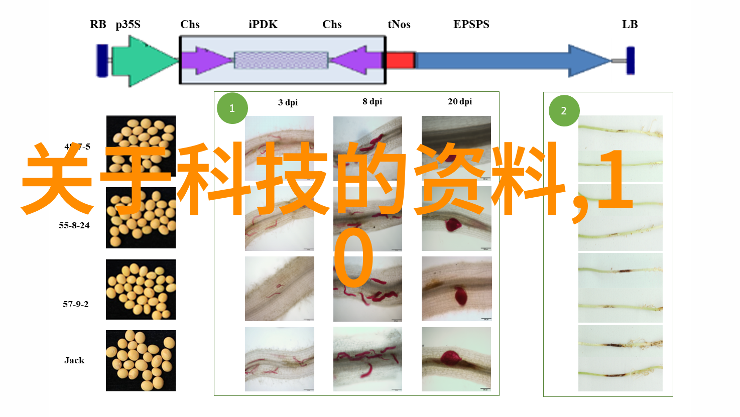 台式蒸汽灭菌器高效安全的实验室伙伴