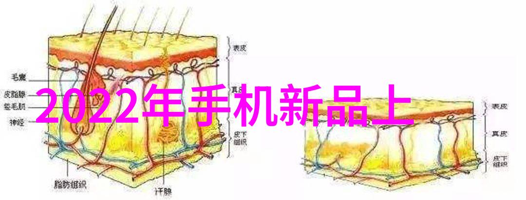 医用消毒灭菌技术进步与安全应用