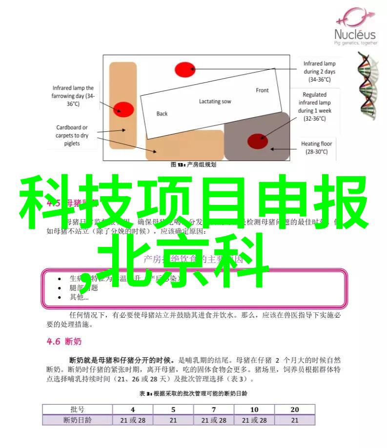 烤包器技术与传统食品加工手法的创新融合研究