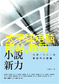 隐秘的家居新式客厅装修风格中的未解之谜