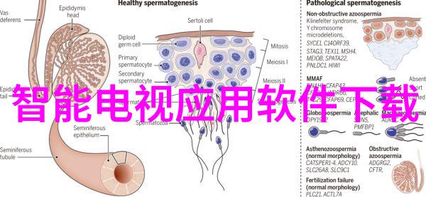 妇产科的女人们我在这里一直等着你一个妇产科护士的故事