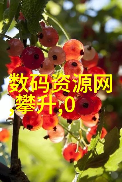 家居美学的专家探索附近装修公司的艺术之道