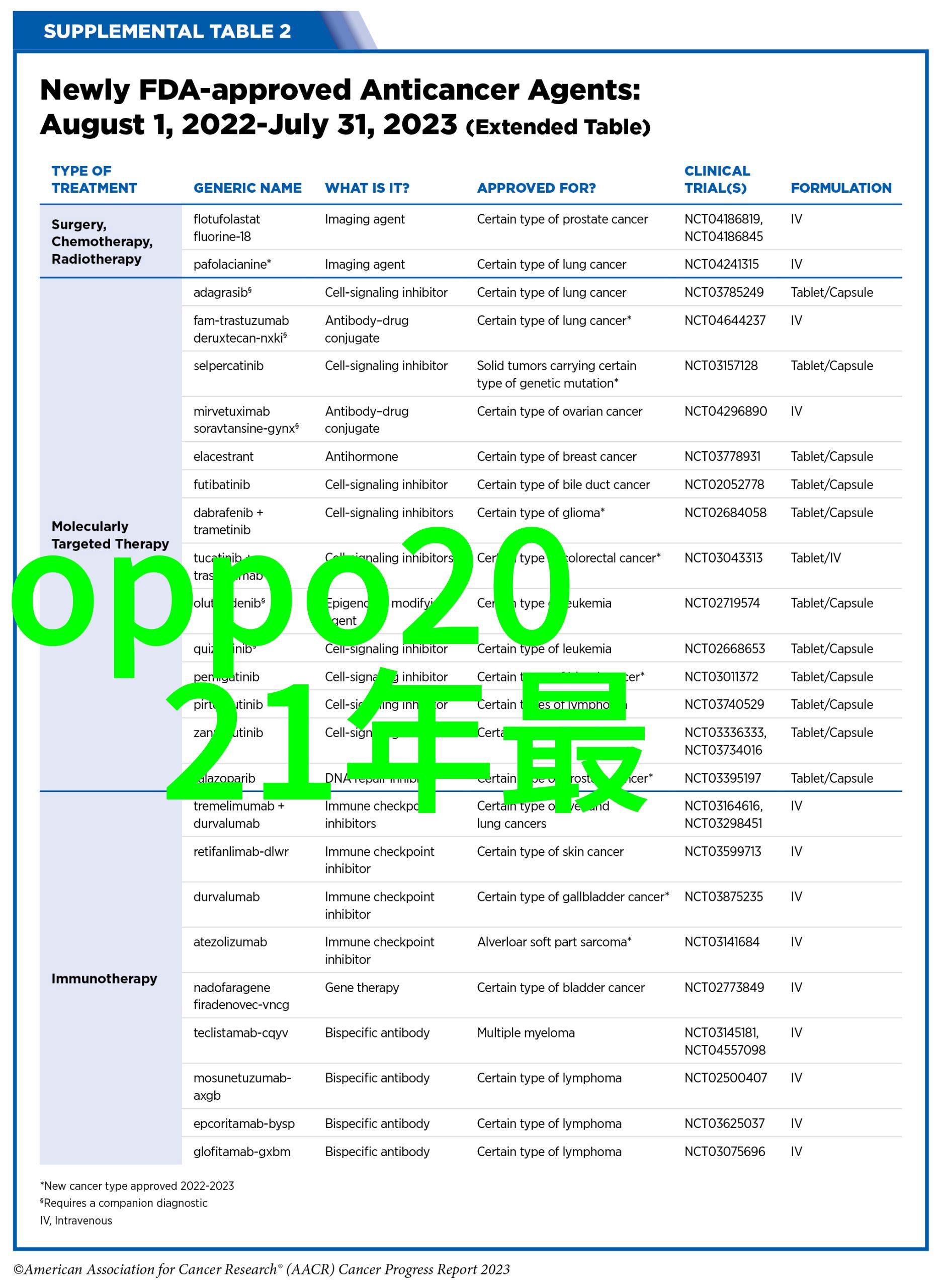 追逐光影记录时刻47名摄影家的最大但人文艺术之旅