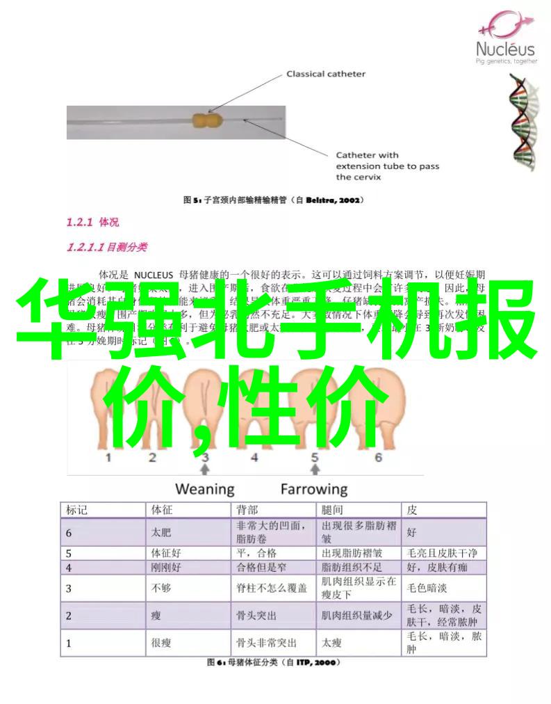 工业升级提升机厂家引领物流效率新篇章