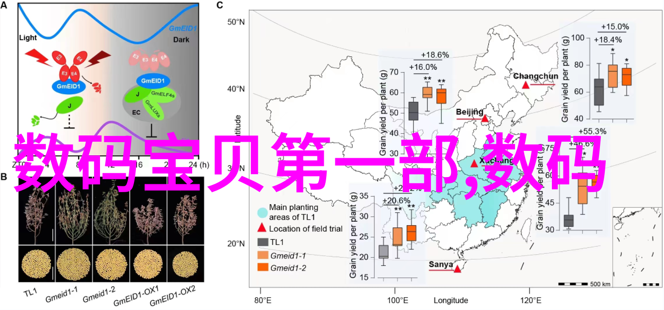 家居装修-温馨舒适一般客厅装修效果图设计探索