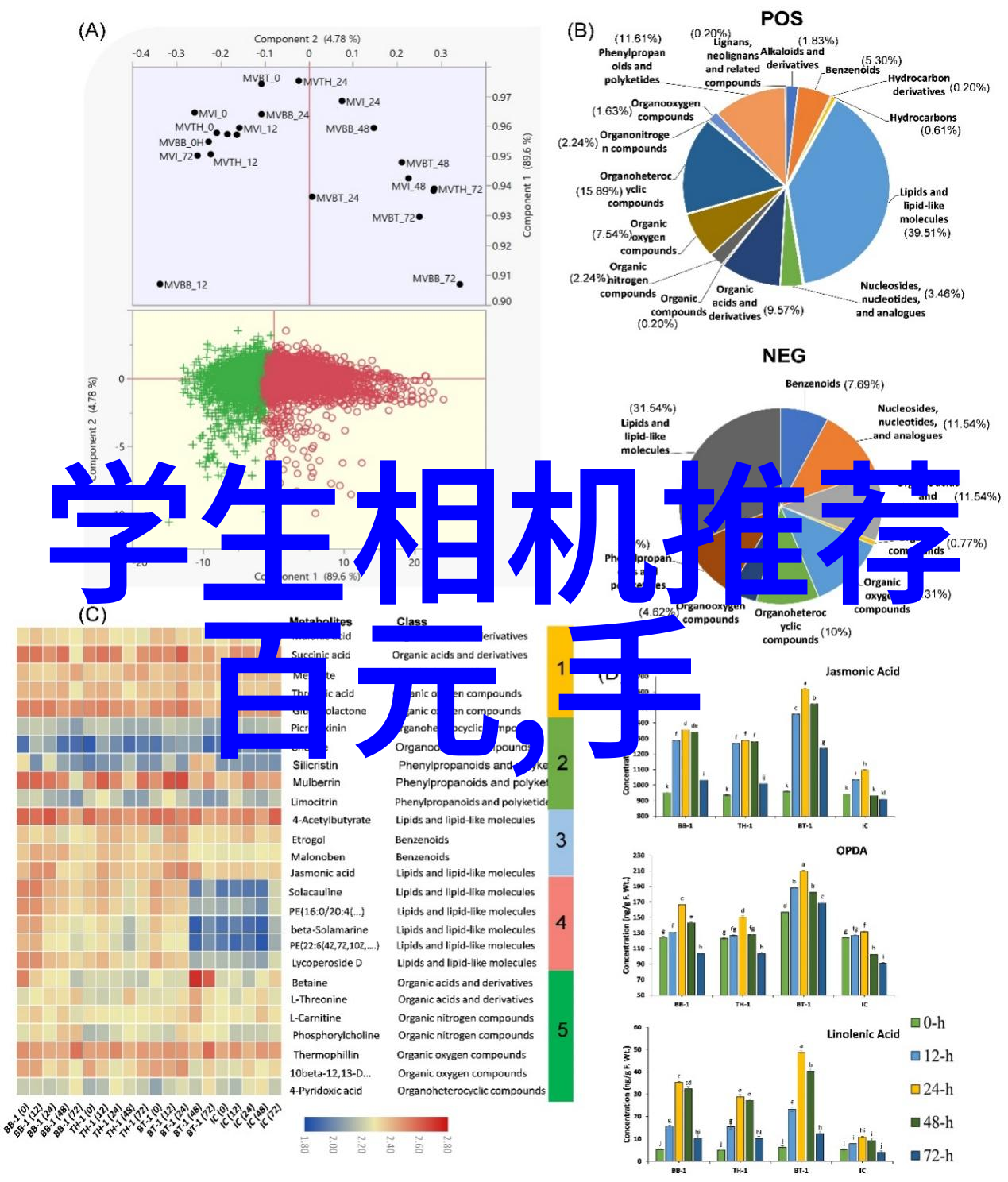 它变大了你感觉到了吗免费探索未来的奇迹