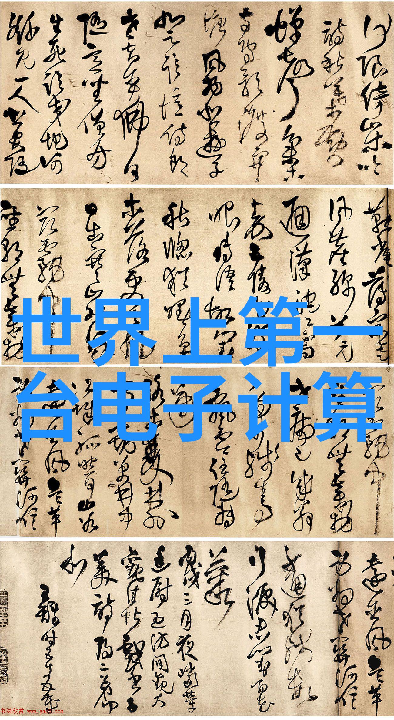 从镜头到回忆我们为什么总爱留下那些合影