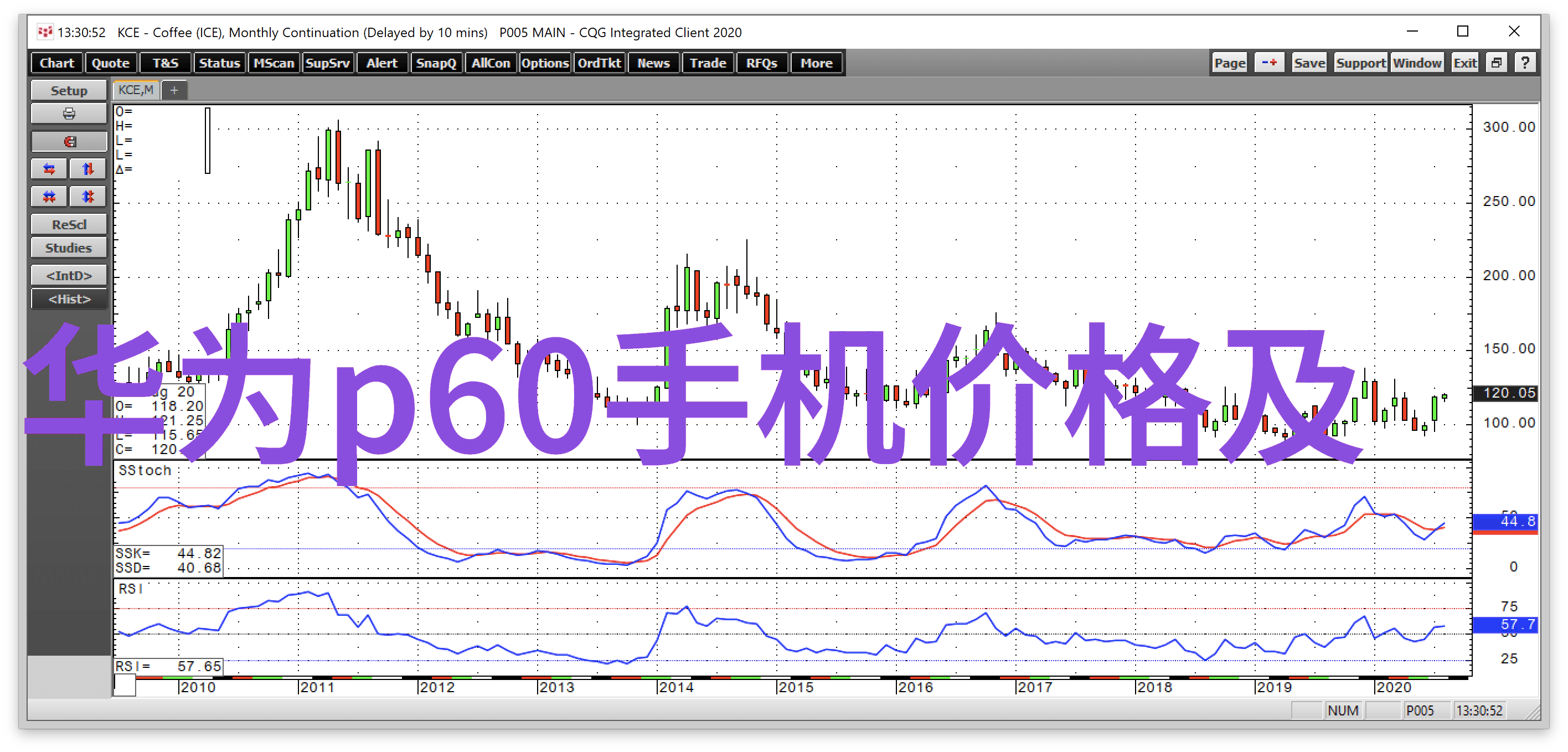 红色康乃馨的花语传递爱与忠诚的永恒见证