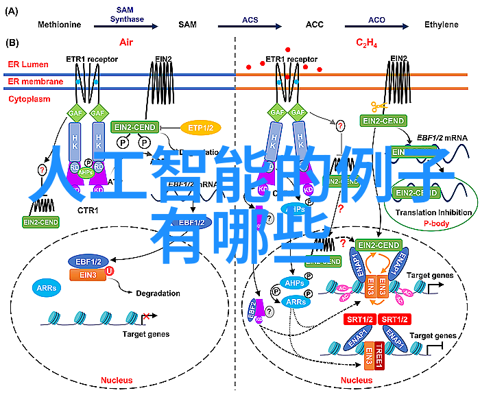 房屋装修设计效果图家居美学规划