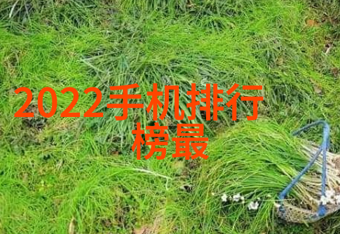 数码宝贝03樱花动漫日语版数码宝贝系列的第三部作品带有樱花主题的日本动画片