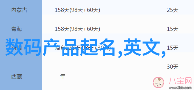 网络标准战士揭秘那些不为人知的网路规则