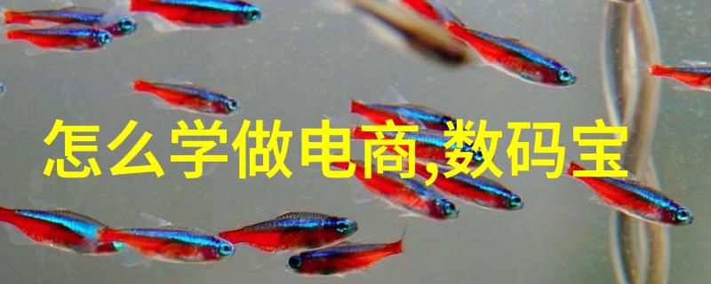 湖南现代物流职业技术学院专业物流管理教育