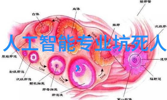 建程网连接每一个旅行的梦想