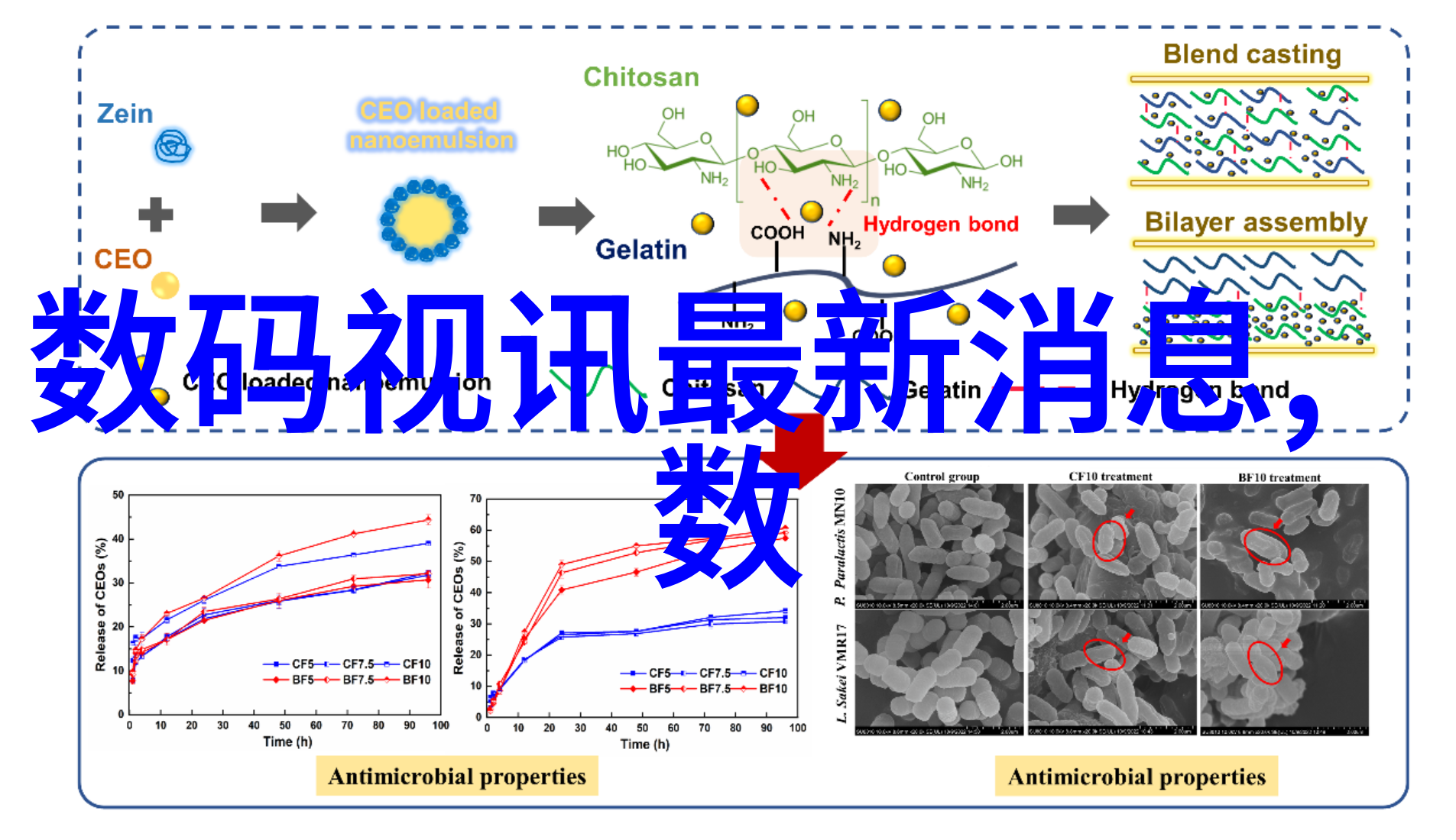 2023年室内装修效果图-温馨舒适的家居空间2023年最新室内装修风格大公开