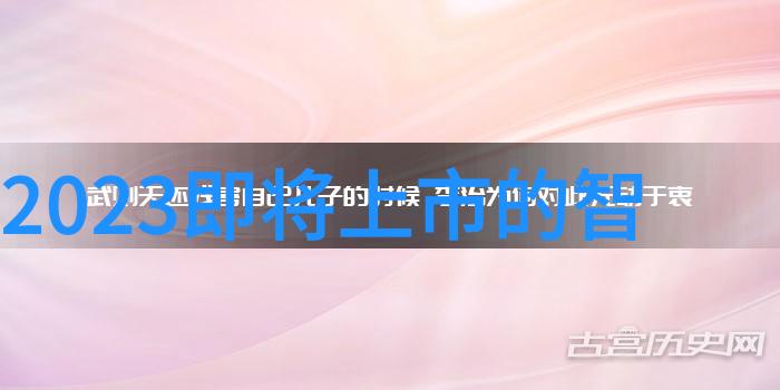 中国移动心中最忌惮的正如工信部那位严厉的老板对待PFA洗气瓶耐腐蚀PFA出气进气反应瓶本底低同样如此