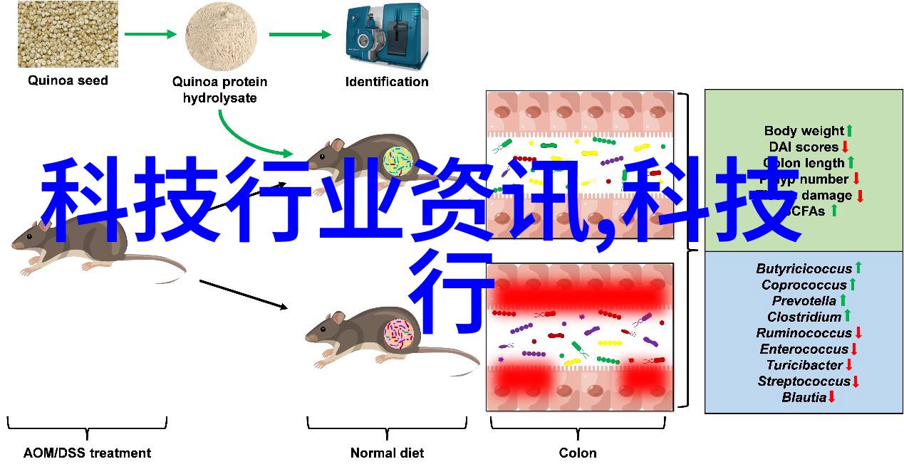 蒸汽换热器我的日常小英雄