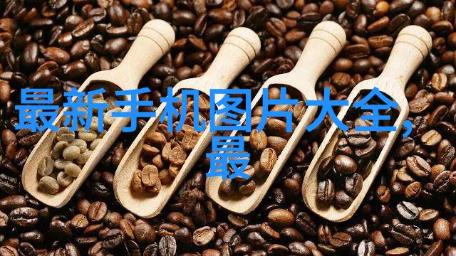 天津中德应用技术大学跨文化合作的典范之校