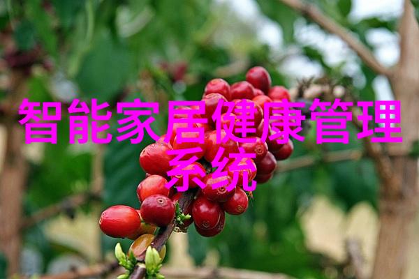 外墙饰面砖工程验收规范及质量保证体系构建