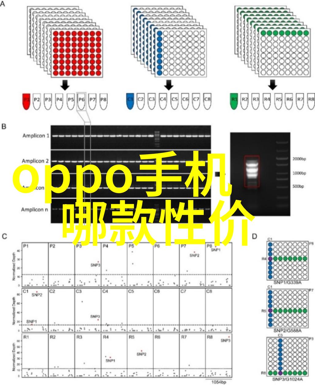 手机生活我是iPhone SE的忠实粉丝小屏大爱不换心甘