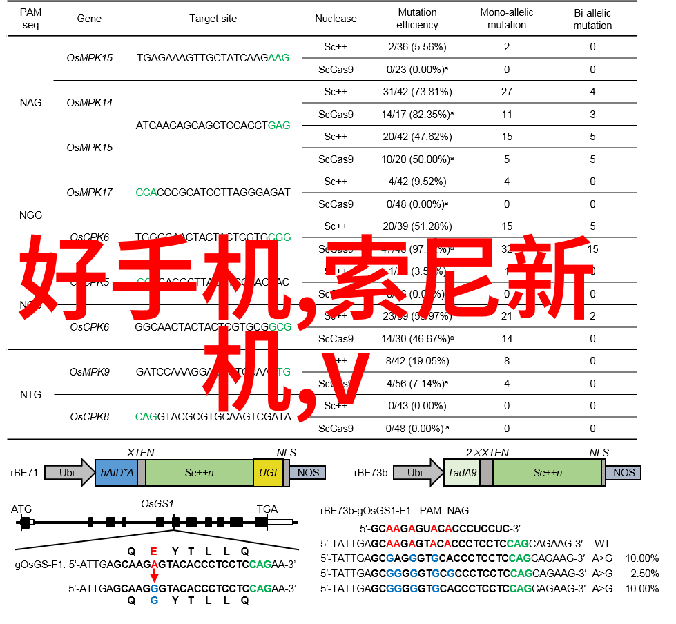 仿真石漆价格数据解析与市场趋势