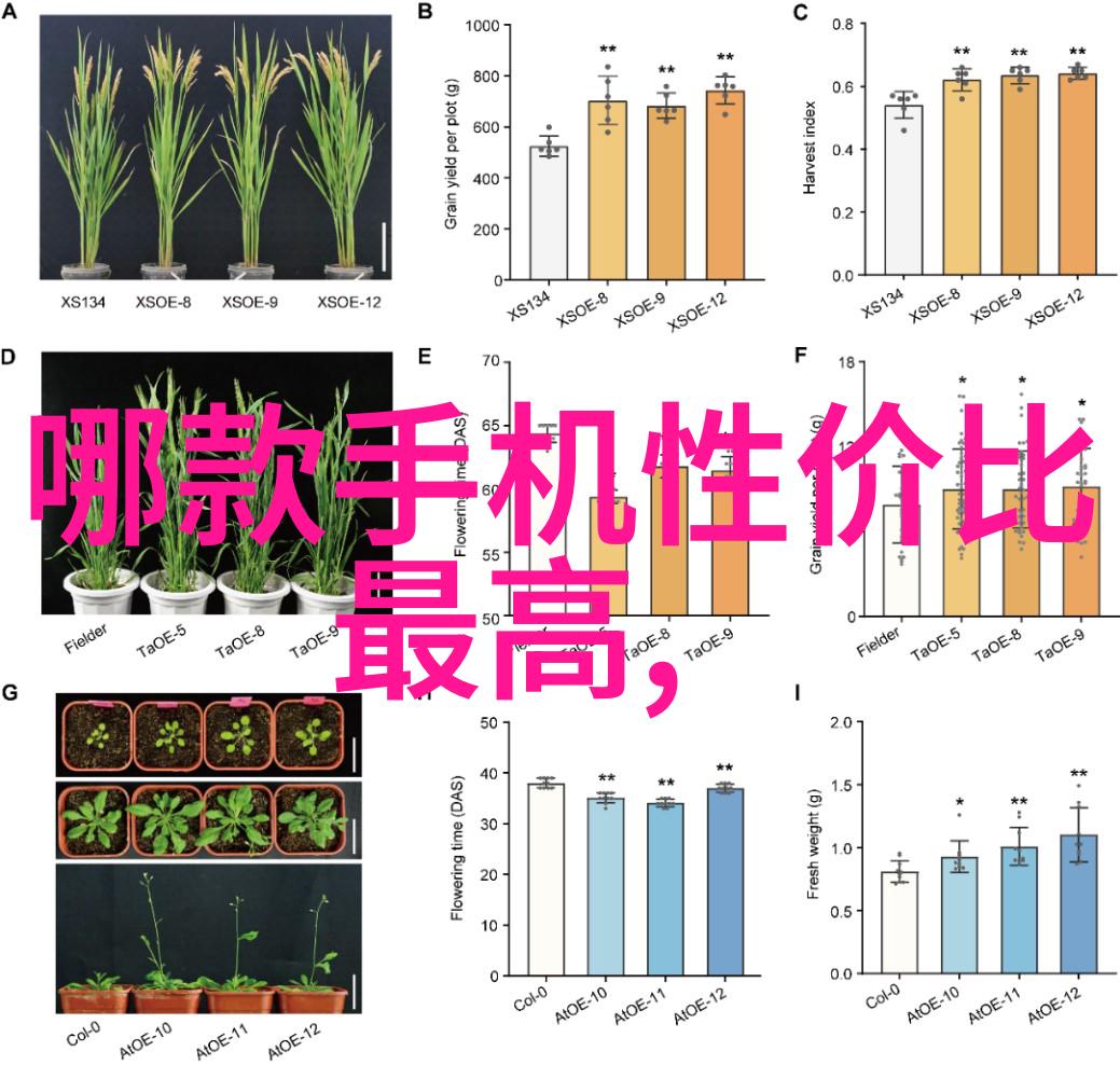 AI驱动的知识分享平台知乎未来发展方向