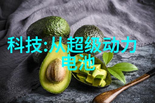 探索数码世界深度解析数码宝贝第2季国语全集