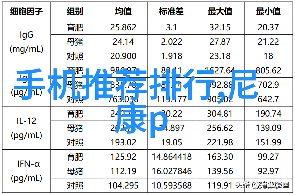 极品家丁云端守护者