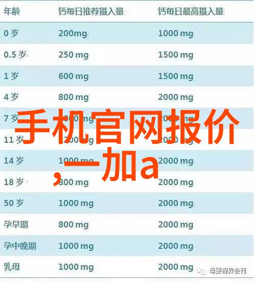 外墙饰面砖工程施工及验收规程-精致装饰完美外墙饰面砖工程施工与验收指南