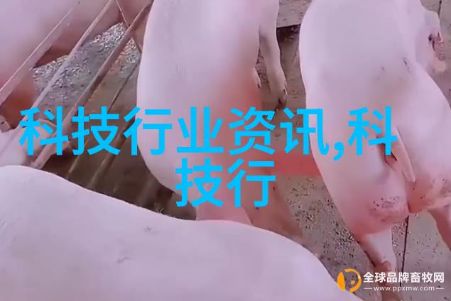 如何使用照片编辑软件优化并创造出自己的独特家庭裝潢效果图