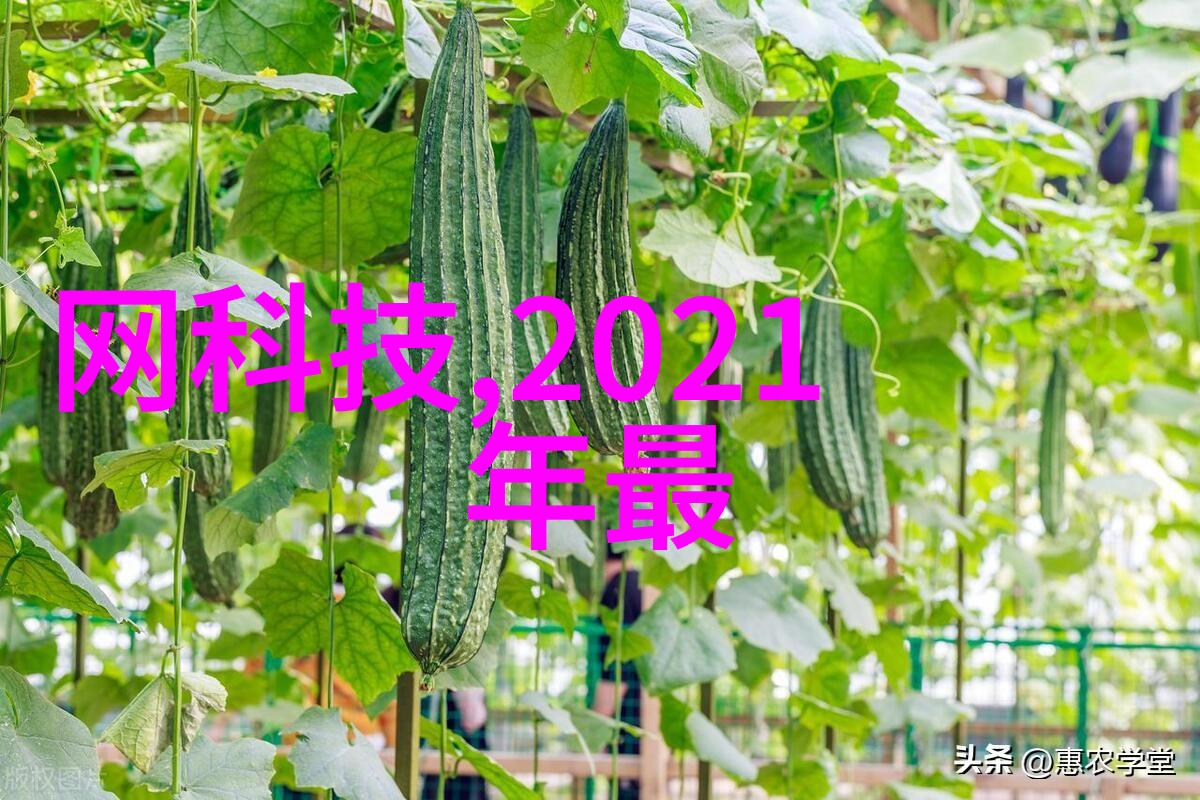 教师节放假问题探究教育制度与劳动价值观的交汇点