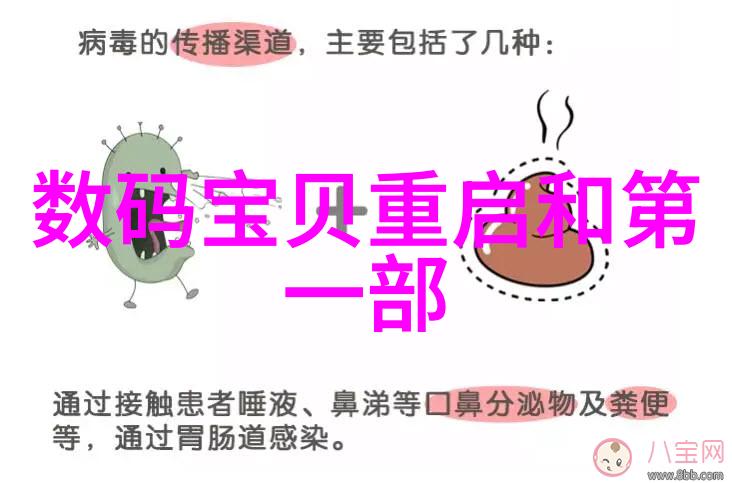 工程造价的构成与管理实践