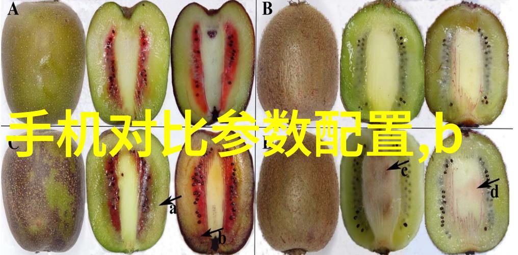 中国化工行情网分析其在新时代经济信息化中的作用与影响