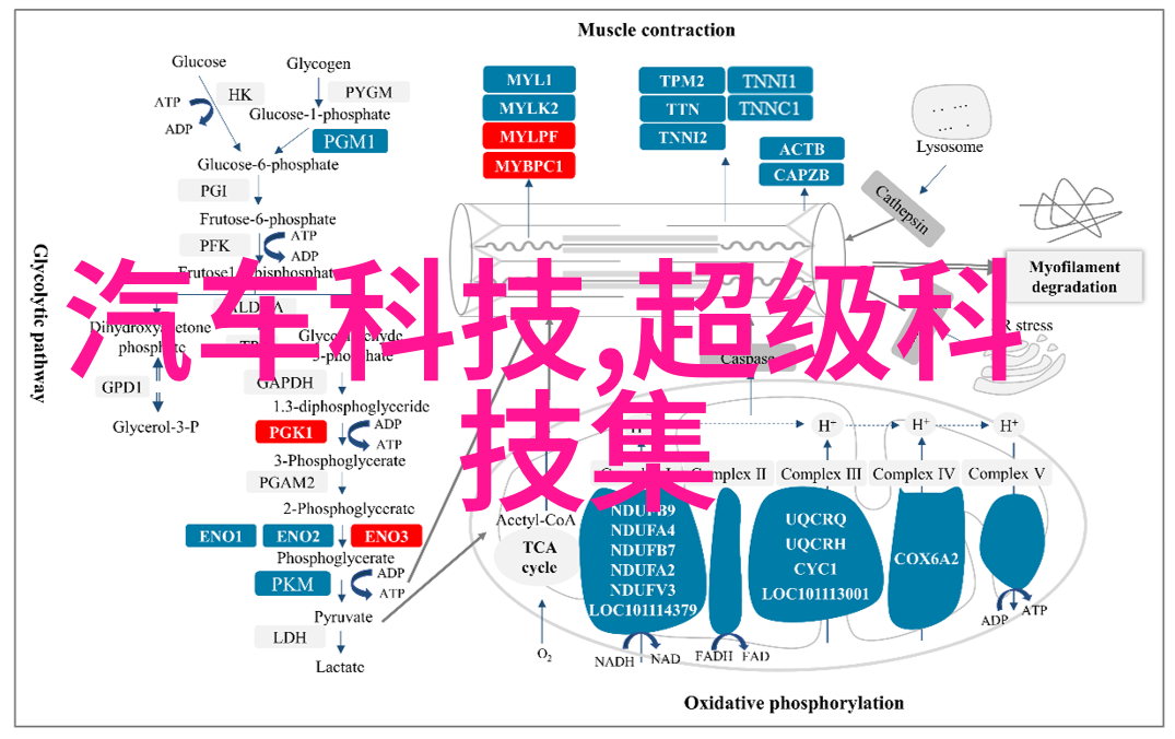 手机时代的智能革命人工智能需要学哪些技术以适应移动互联网变革