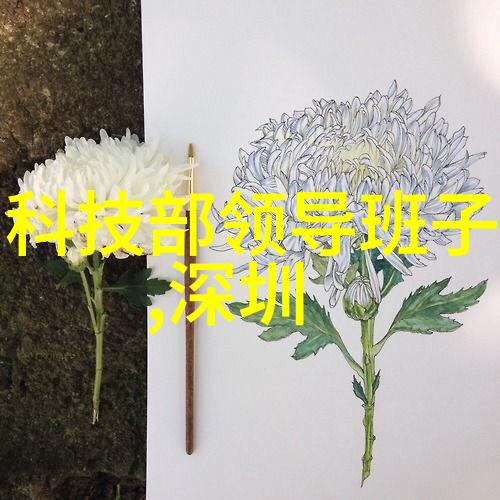 程老师有话说BY 我有虎牙我是如何在直播间学到生活小智慧的