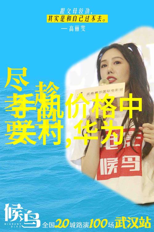 探究微型纪实小型摄像机在Vlog创作中的应用与选择