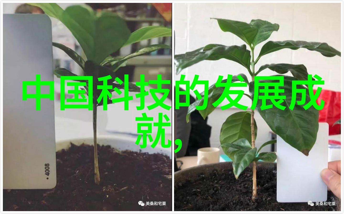 家居装修风格现代简约古典奢华田园自然