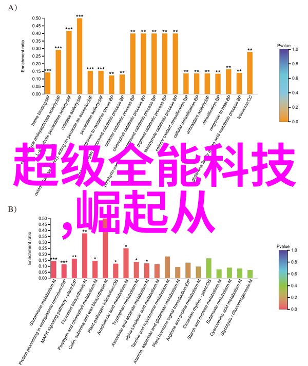 揭秘卫浴间潮湿之谜6大神奇法宝等你来解锁