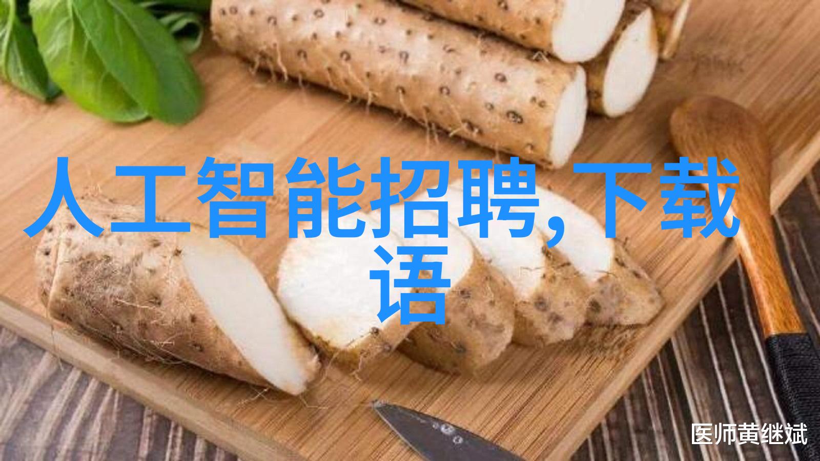 维度之守双重守护者