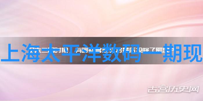 社会应用的带式干燥设备BX360高压干饱和蒸汽清洗机实现180度高温干燥无锈保质