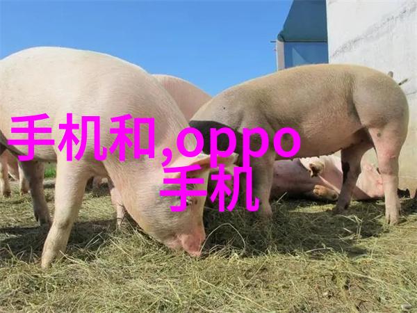 2021年客厅装修风格简约现代与温馨复古的和谐共存