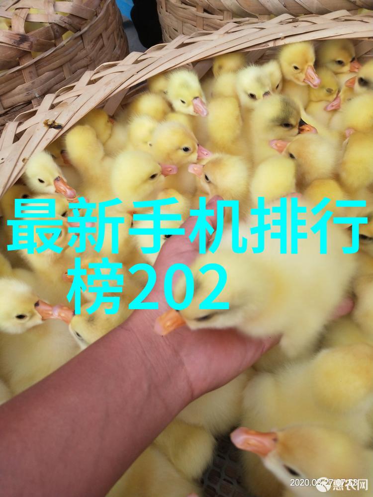 混凝土结构工程施工质量验收规范混凝土结构工程的施工质量验收详细规定