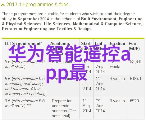 练明乔我的街头小霸王