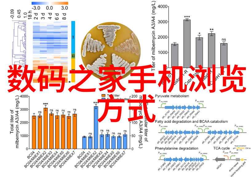 新一代旗舰手机探索科技的极致之作