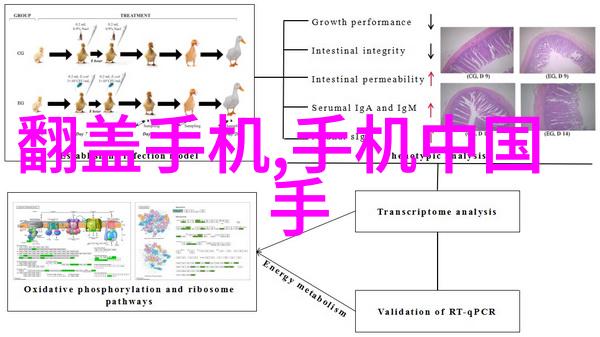 主题我的欧式人像摄影之旅捕捉真实与美丽