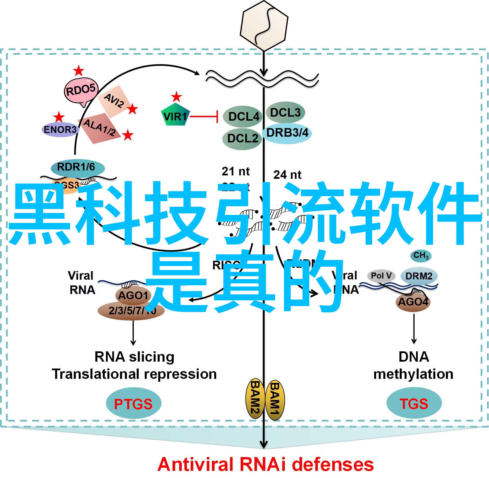 水电工装修全览从线路布置到设备安装的关键项目解析