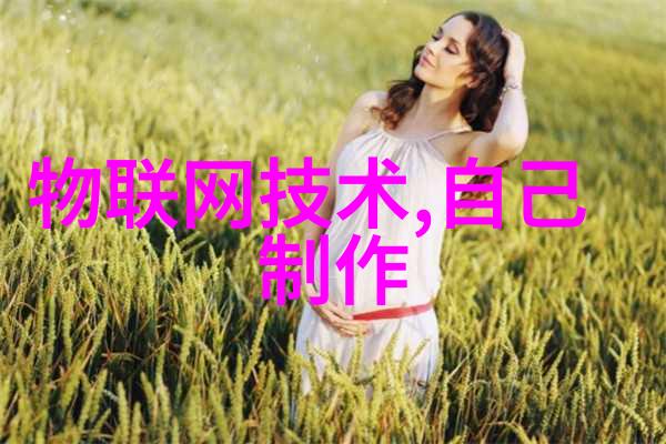 数码宝贝十大最美数码兽创维小湃双十一钜惠室内外智能摄像机一网打尽让利大促