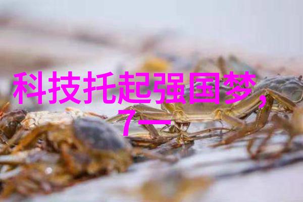 什么让我成为科技之光揭秘背后的秘密