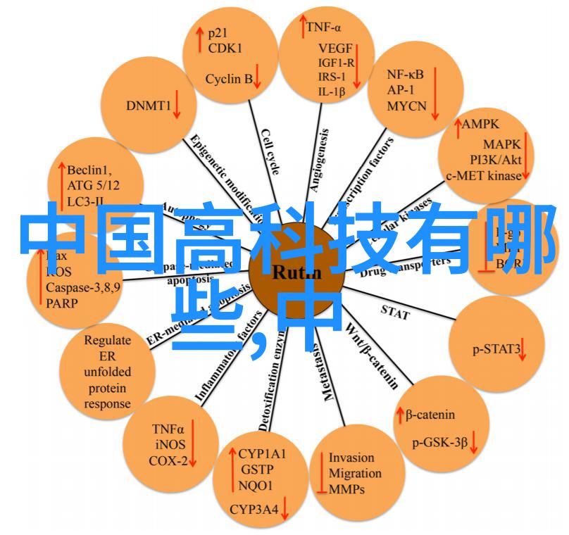 环境保护与经济发展工业废气净化器的双重角色